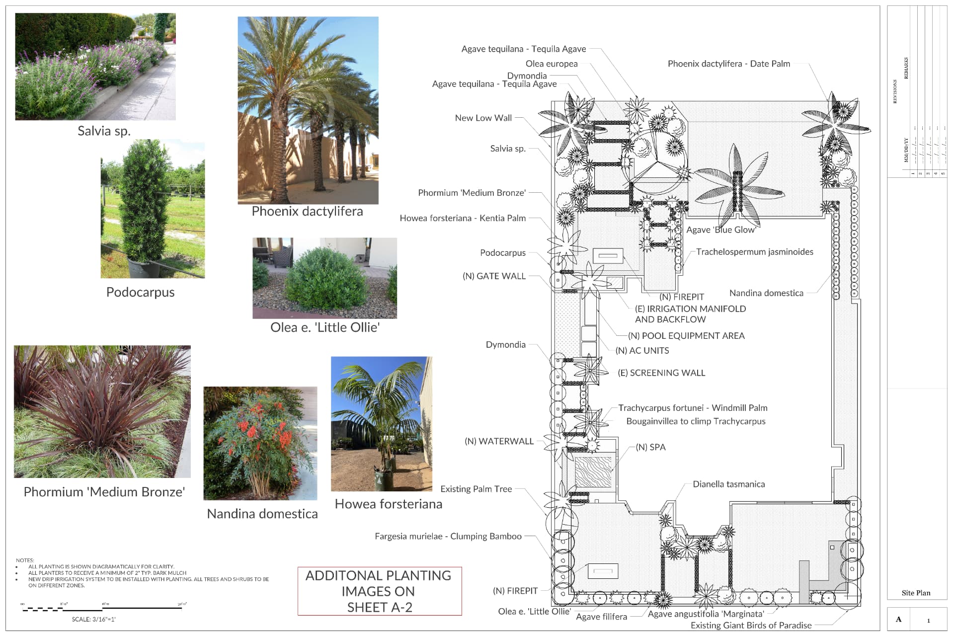Landscape master plan for the Dove Canyon Family Retreat showing the front courtyard, side-yard spa, outdoor kitchen, rear gathering area, planting, and circulation.
